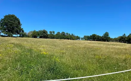 Prodej pozemku 6 229 m², Bojanovice, okres Praha-západ