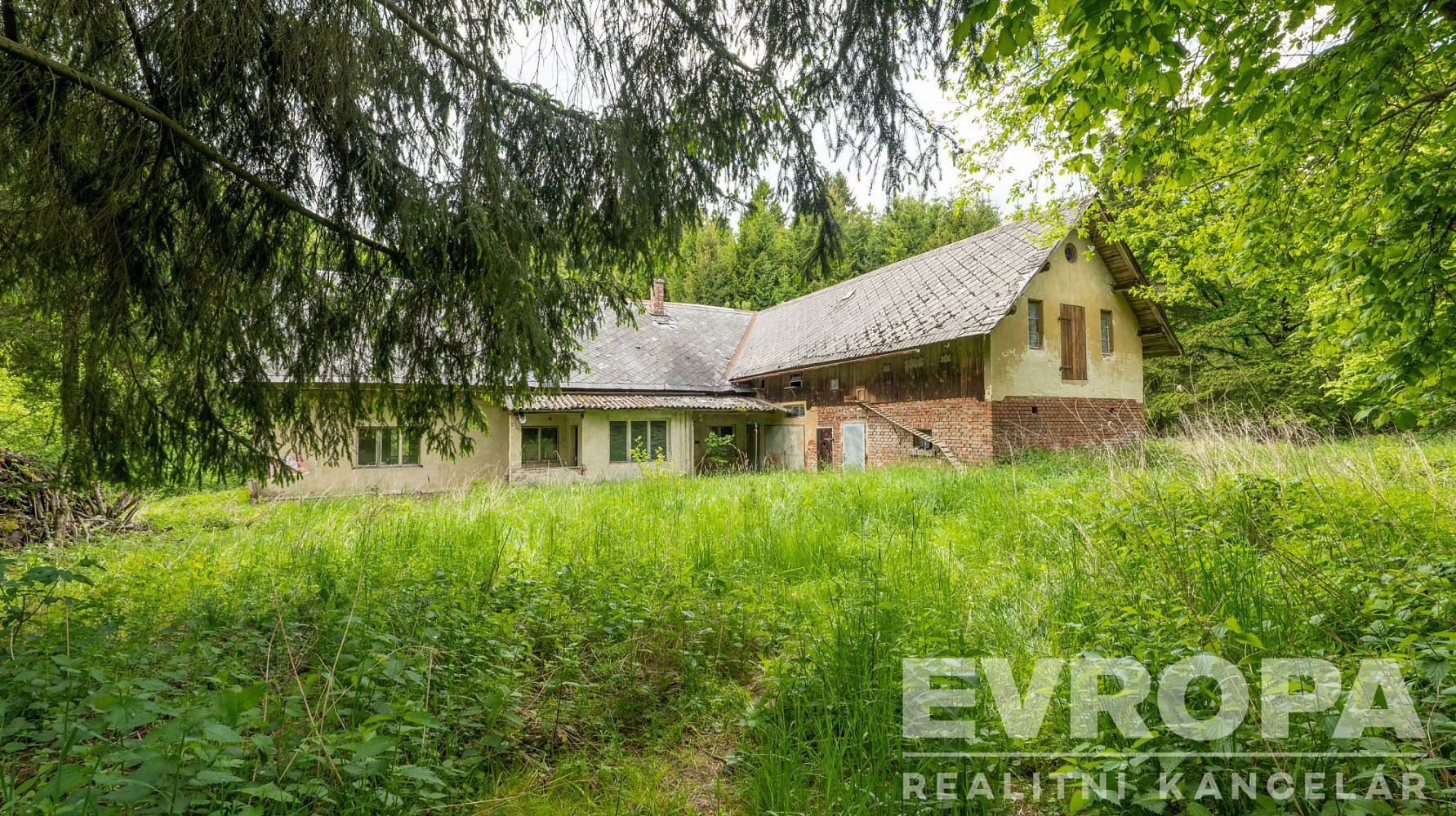 Prodej domu 241 m² s pozemkem 16 181 m² – fotografie 4