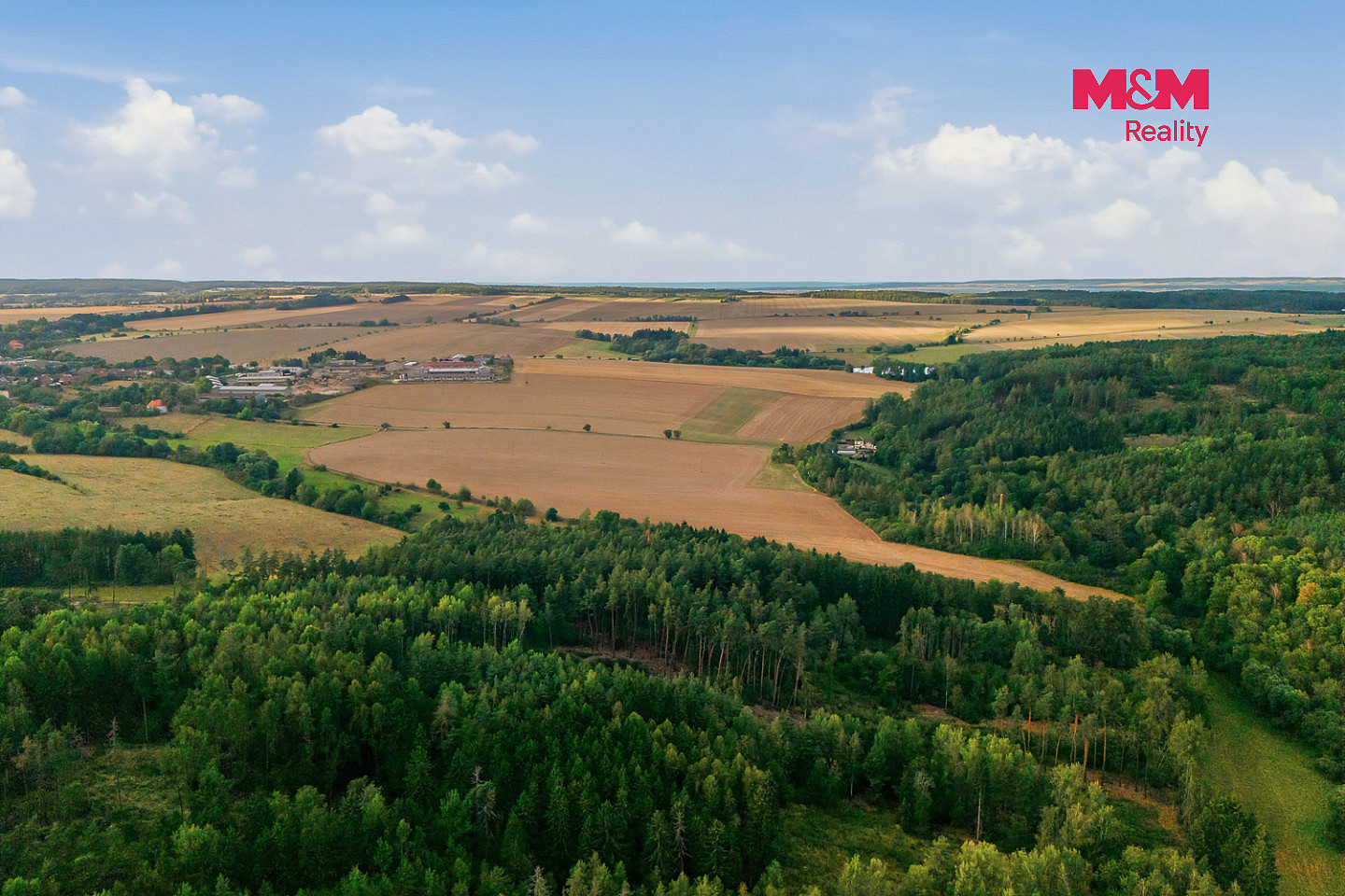 Prodej lesa 5 988 m² – fotografie 3