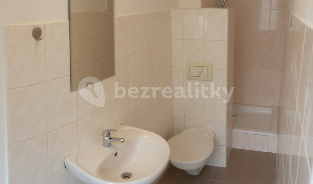 Pronájem bytu 1+1 28 m², Teplice – náhled fotky 4