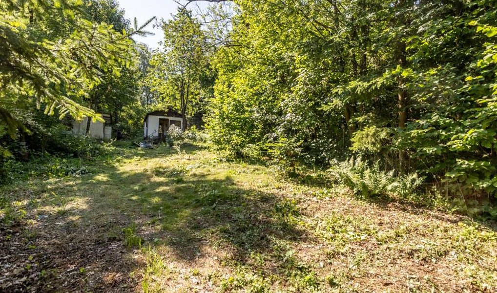 Prodej stavebního pozemku 1 277 m², Bořetín – náhled fotky 12