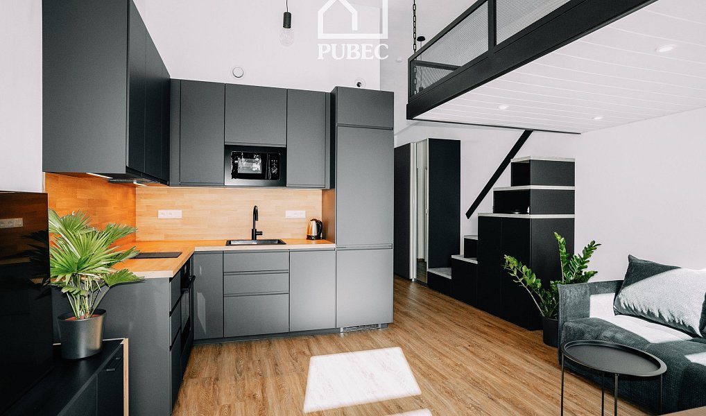 Pronájem bytu 1+kk, 40 m², Lobzy - Plzeň-město, Plzeň