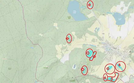Prodej lesa 3 197 m², Bdeněves, okres Plzeň-sever