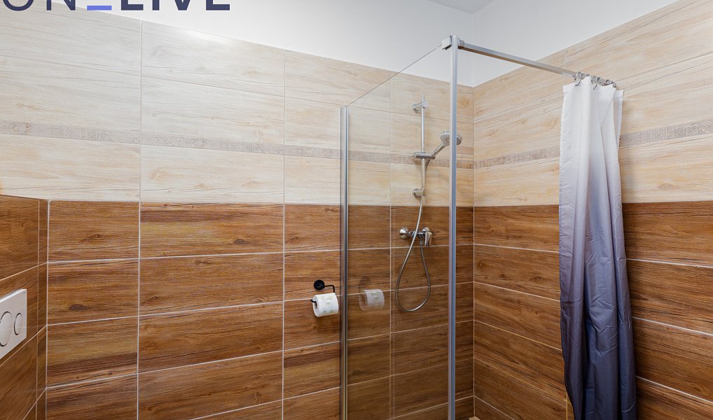 Prodej komerčního objektu (jiného typu) 450 m², Přimda – náhled fotky 7