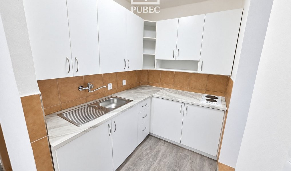 Pronájem bytu 2+1 67 m², Plzeň – náhled fotky 4