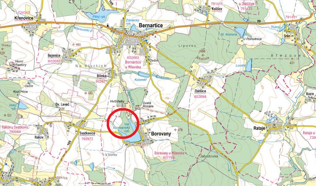 Prodej lesa 11 302 m², Borovany – náhled fotky 3