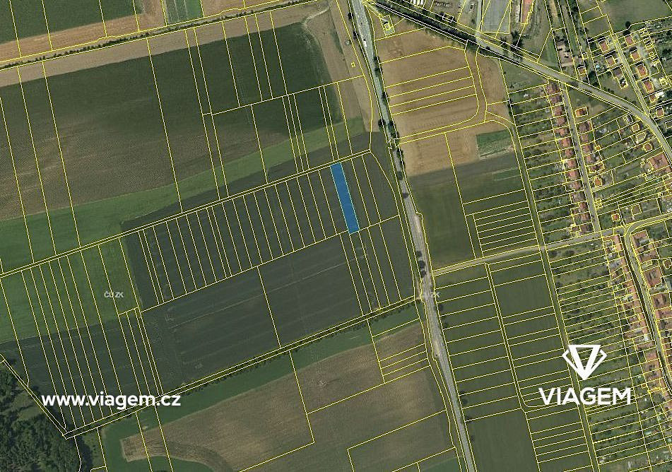 Prodej pole 2 000 m² – fotografie 3