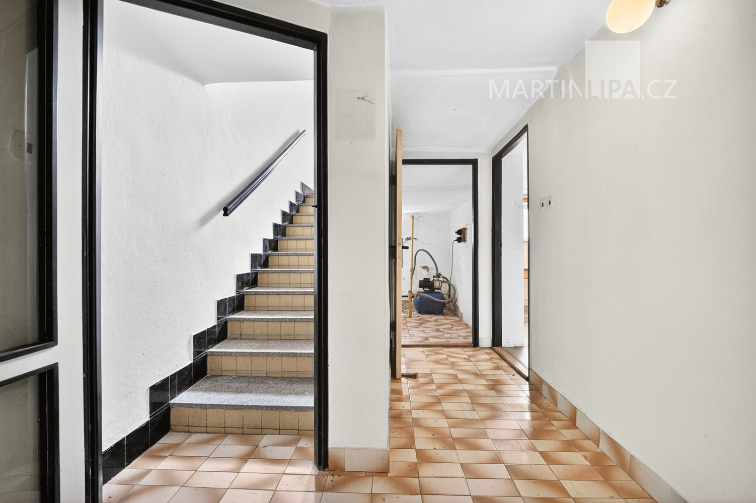 Fotka 30 z 30