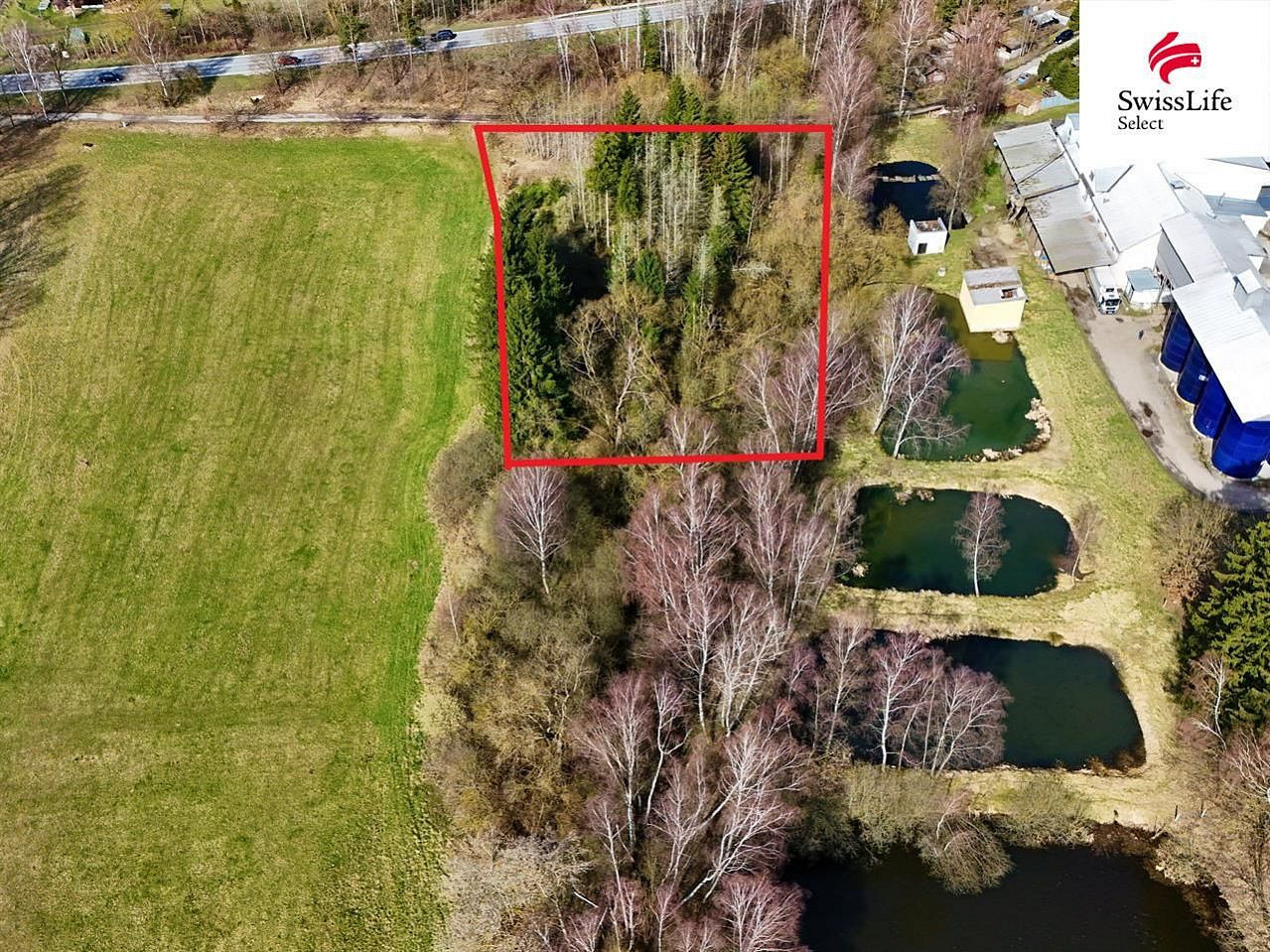 Prodej lesa 4 442 m²