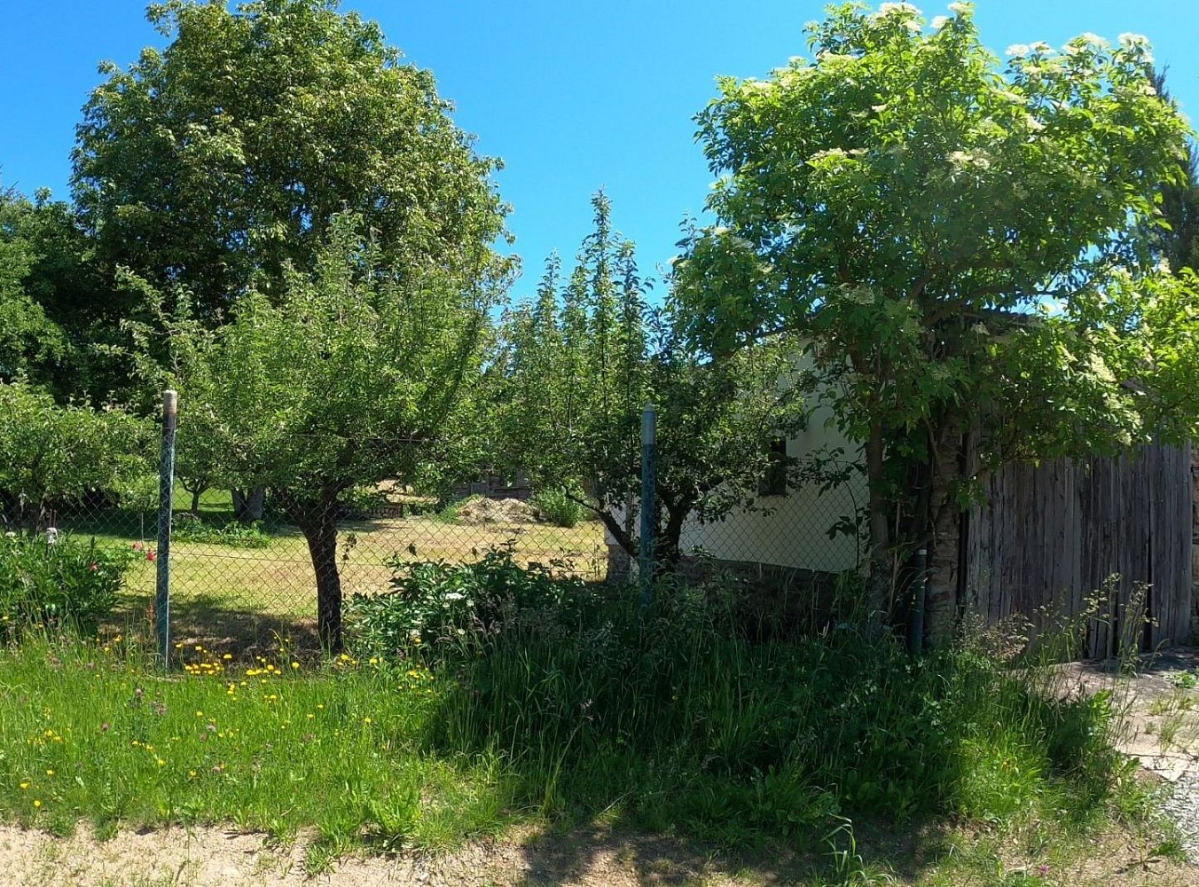 Fotka 4 z 18
