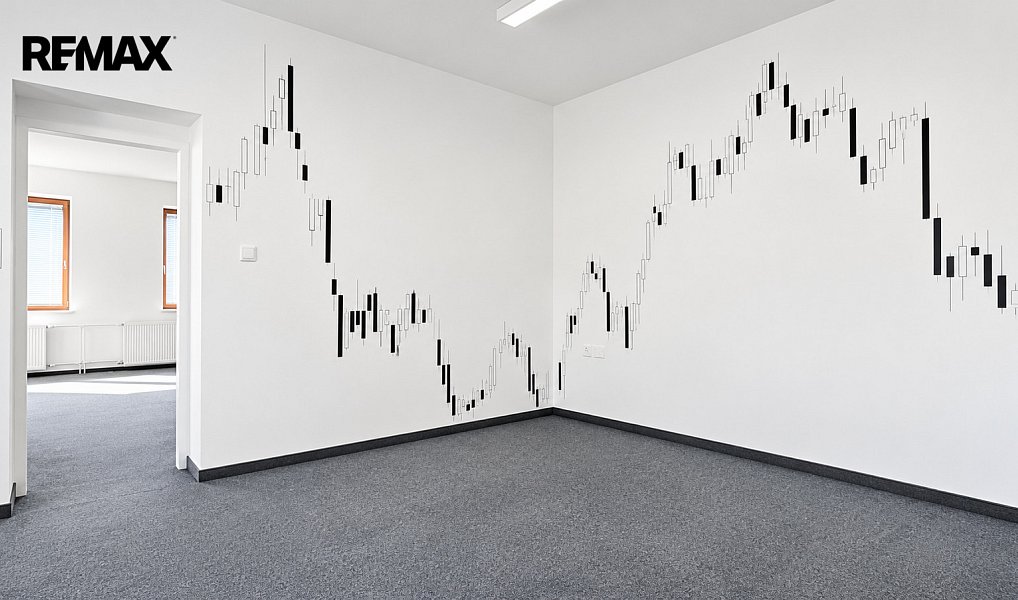 Pronájem kanceláře 339 m², České Budějovice – náhled fotky 15