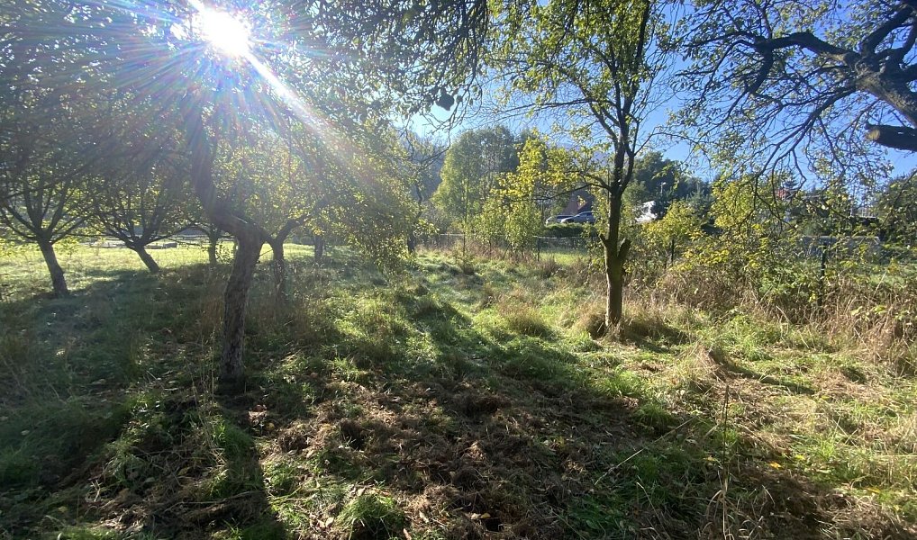 Prodej zahrady 702 m², Stráž nad Ohří – náhled fotky 4