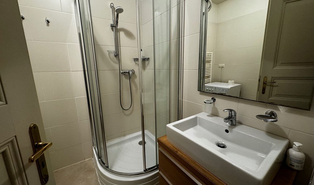 Pronájem bytu 3+kk 110 m², Praha – náhled fotky 7