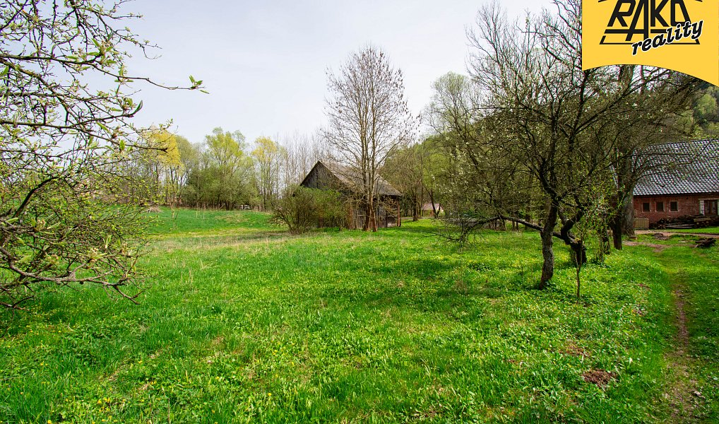 Prodej stavebního pozemku 4 486 m², Mladé Buky – náhled fotky 3