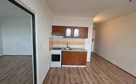 Pronájem bytu 1+1 35 m², Kyjická, Chomutov