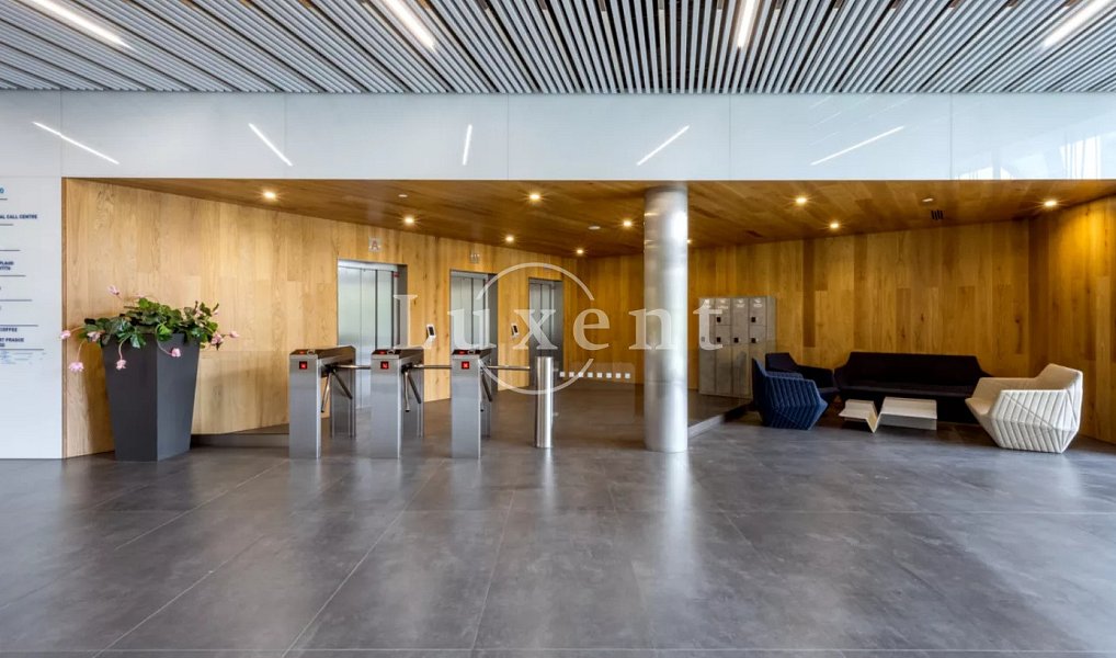 Pronájem kanceláře 490 m², Praha – náhled fotky 5