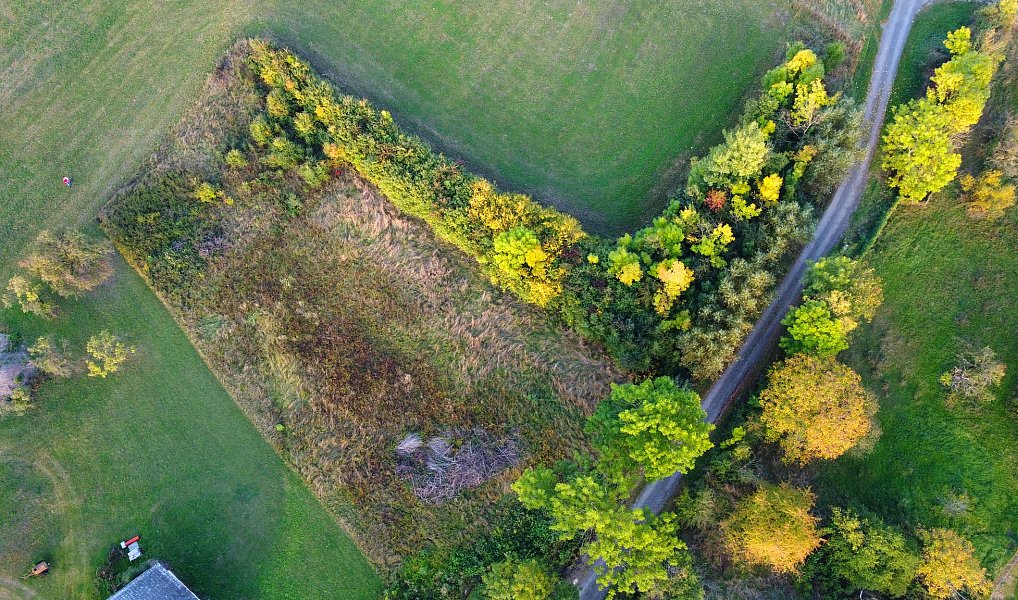 Prodej stavebního pozemku 1 356 m², Česká Skalice – náhled fotky 21