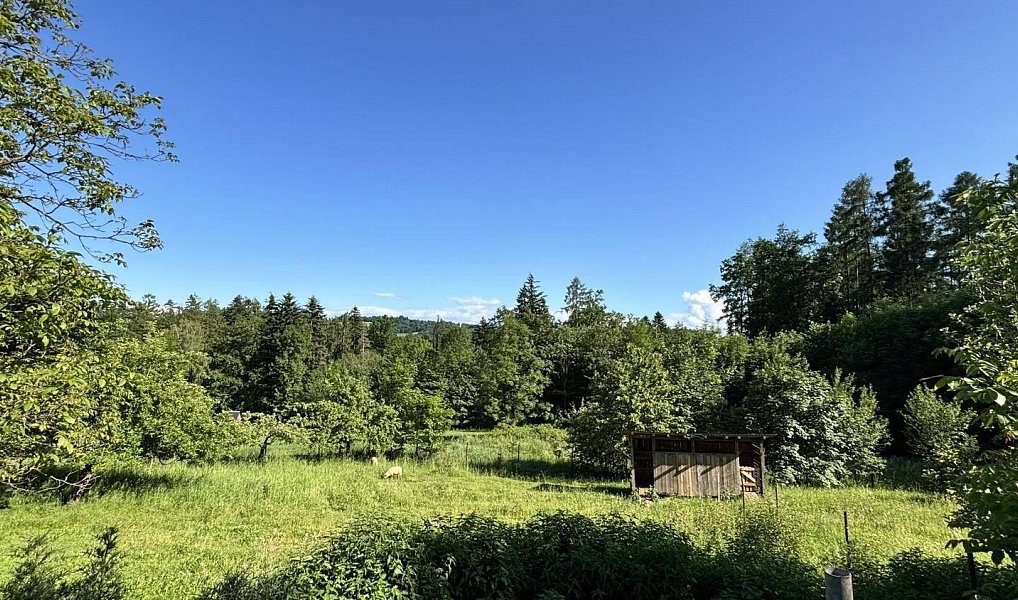 Prodej domu 150 m² s pozemkem 8 440 m², Třinec – náhled fotky 5