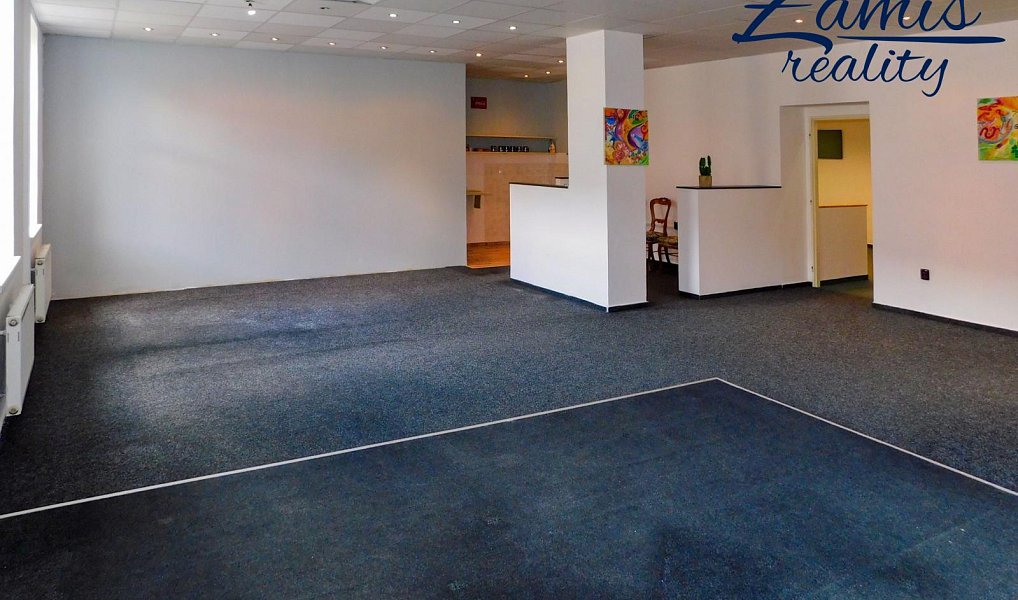 Prodej domu 400 m² s pozemkem 201 m², Kladno – náhled fotky 14