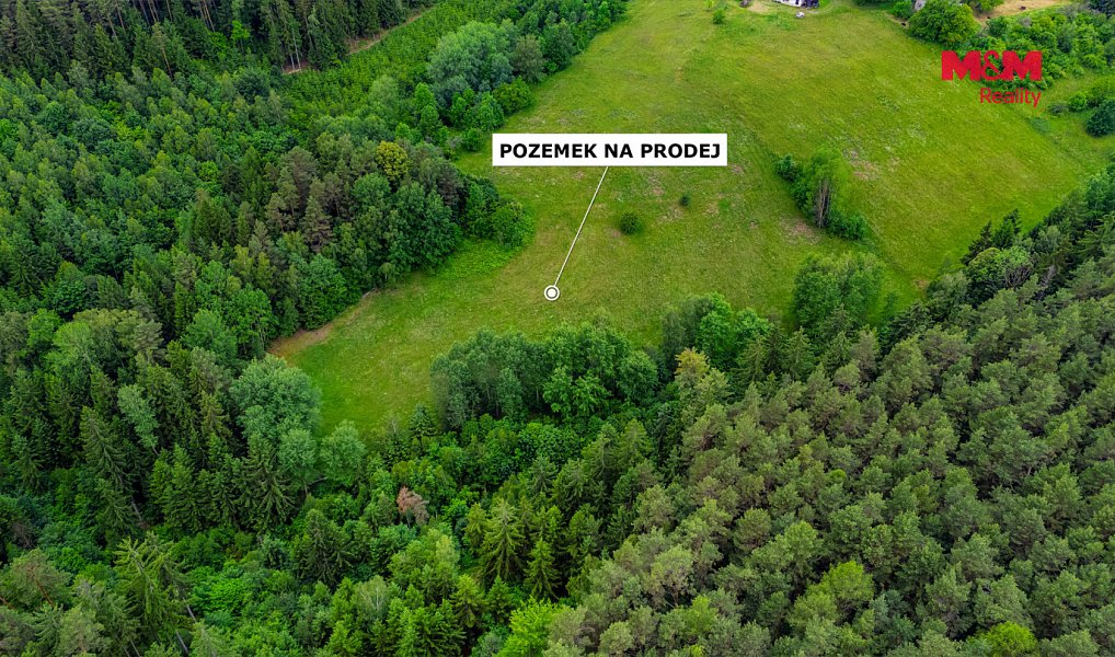 Prodej louky 12 591 m², Český Dub – náhled fotky 4