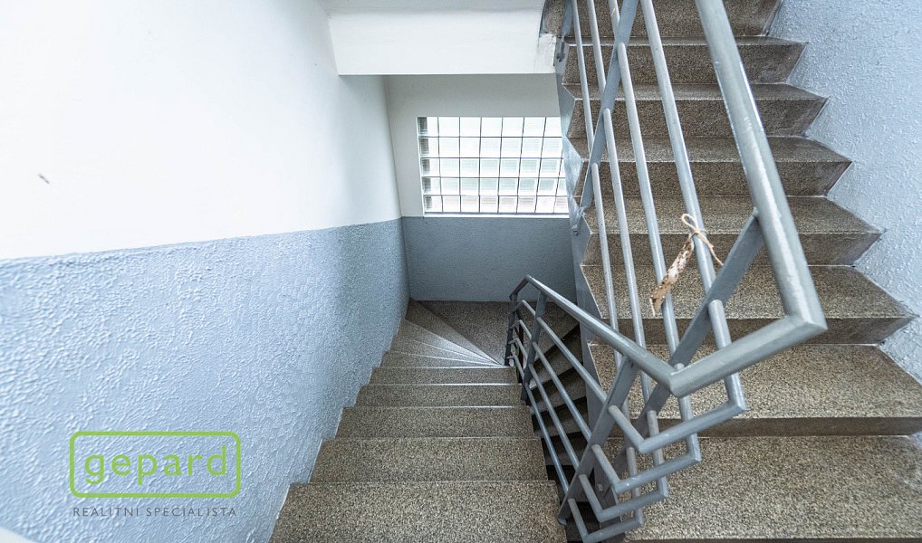 Prodej domu 225 m² s pozemkem 585 m², Praha – náhled fotky 14
