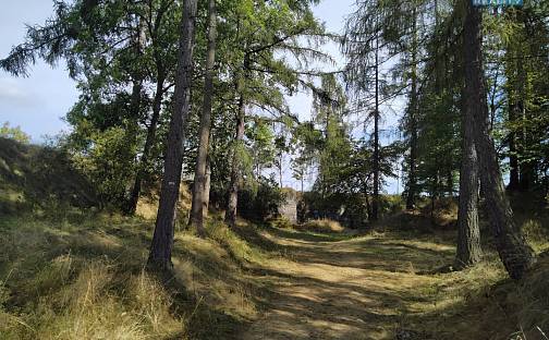 Prodej pozemku 13 529 m², Razová, okres Bruntál