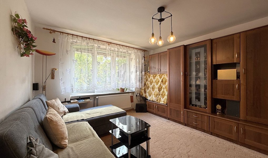 Prodej bytu 2+1 50 m², Plzeň – náhled fotky 8
