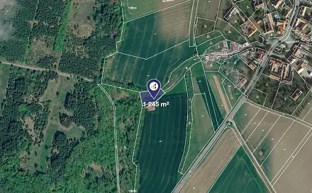 Ostatní