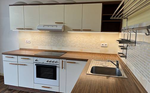 Pronájem bytu 3+1 124 m², Lidická, Prostějov