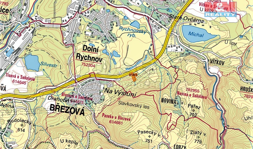 Prodej lesa 13 827 m², Dolní Rychnov – náhled fotky 3