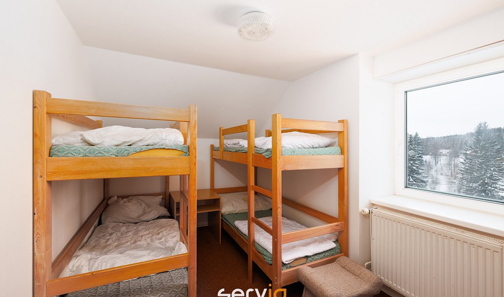 Prodej komerčního objektu (jiného typu) 500 m², Říčky v Orlických horách – náhled fotky 9