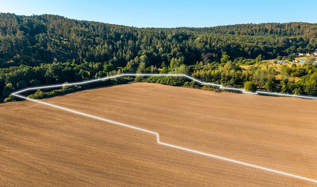 Prodej stavebního pozemku 24 219 m², Čisovice – náhled fotky 6