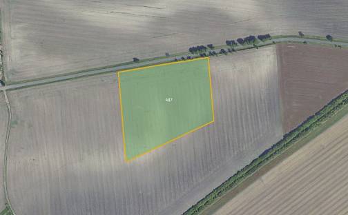 Prodej pole 29 924 m², Kouty, okres Nymburk