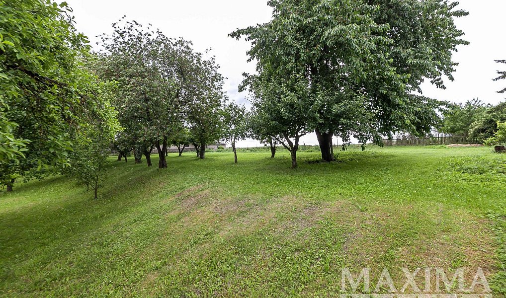 Prodej stavebního pozemku 1 372 m², Běchary – náhled fotky 12