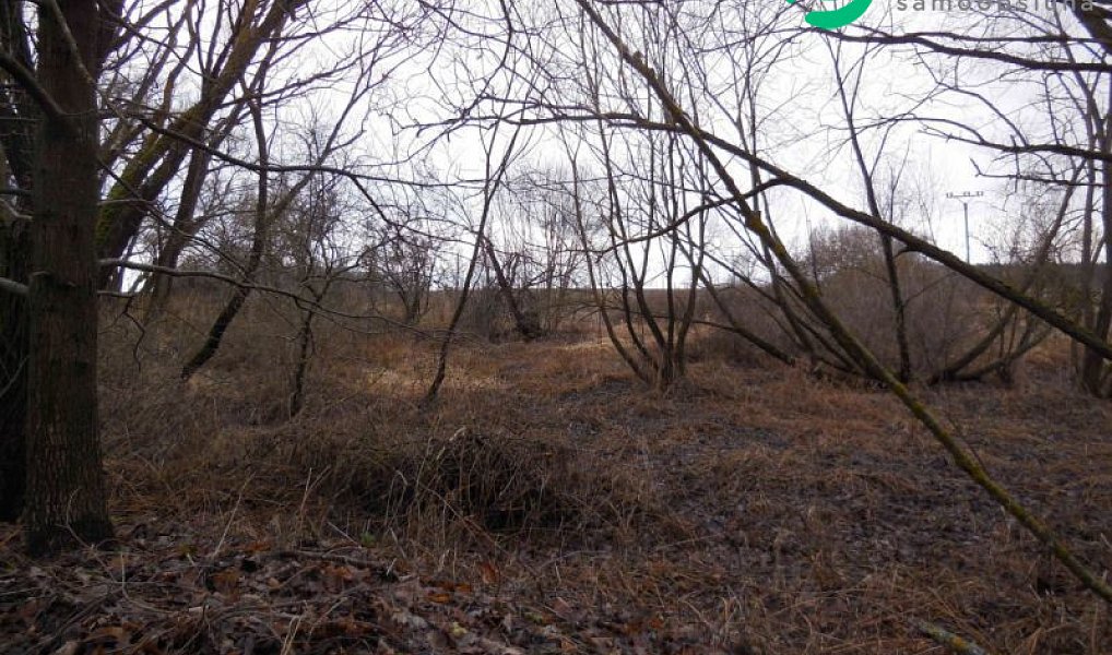 Prodej zahrady 6 745 m², Cebiv – náhled fotky 3