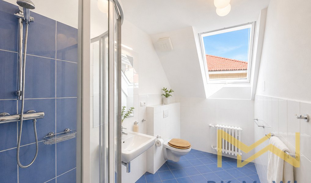 Pronájem domu 417 m² s pozemkem 999 m², Praha – náhled fotky 15