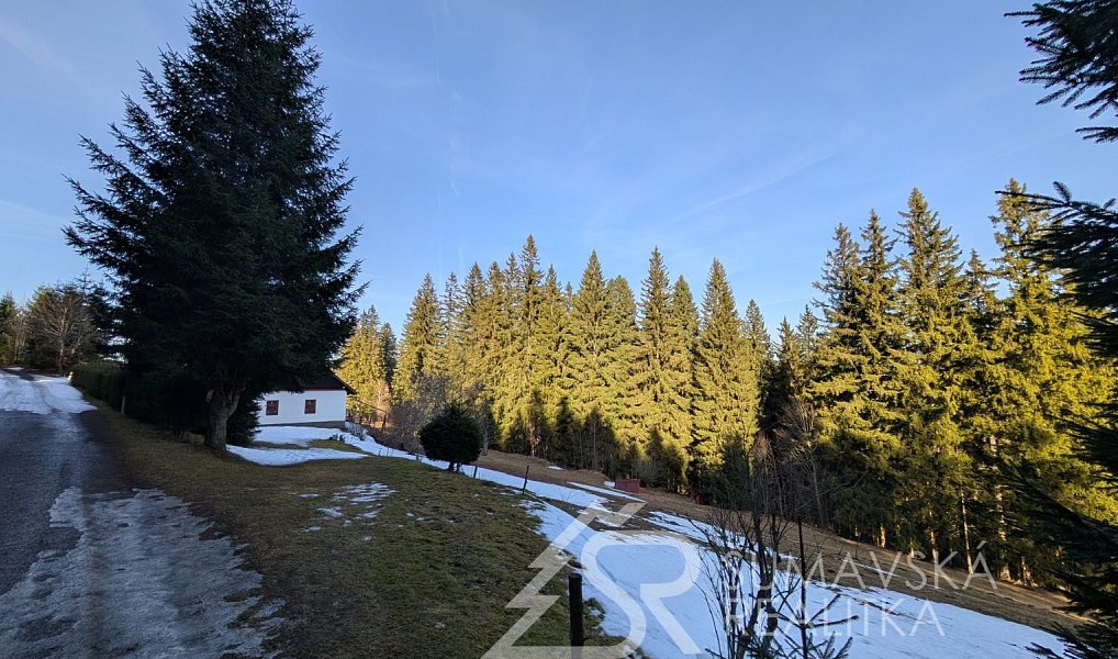 Prodej chaty/chalupy 390 m² s pozemkem 37 198 m², Hartmanice – náhled fotky 9