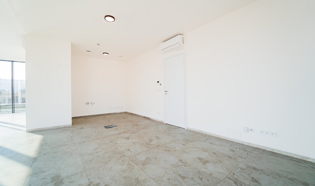 Prodej bytu 4+kk 162 m², Brno – náhled fotky 4