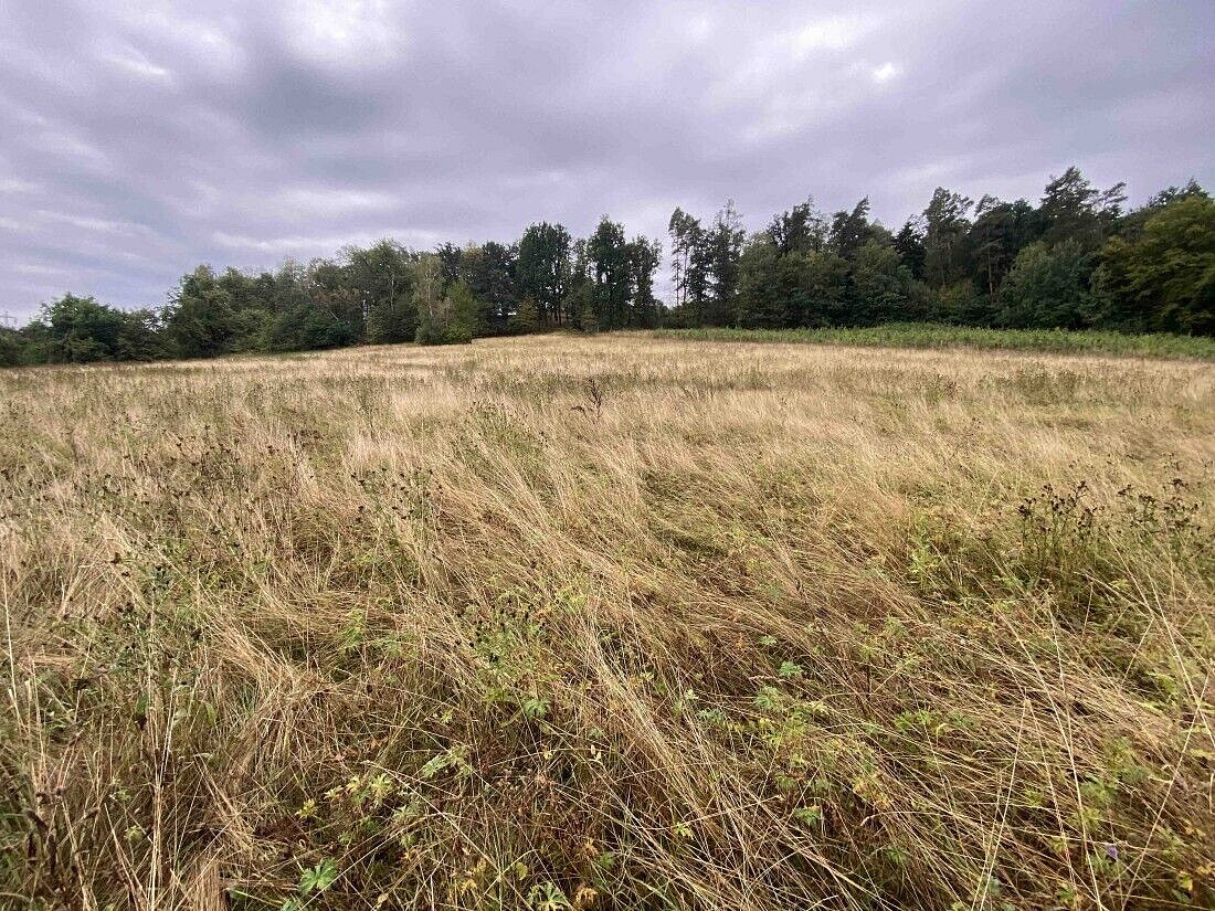 Prodej louky 1 160 m² – fotografie 2
