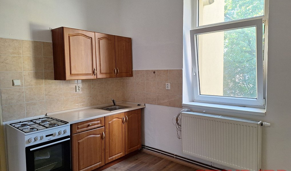 Pronájem bytu 1+1 45 m², Plzeň – náhled fotky 4