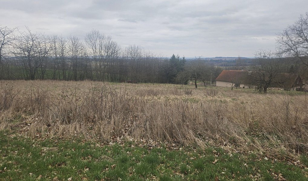 Prodej stavebního pozemku 5 329 m², Mezno – náhled fotky 3