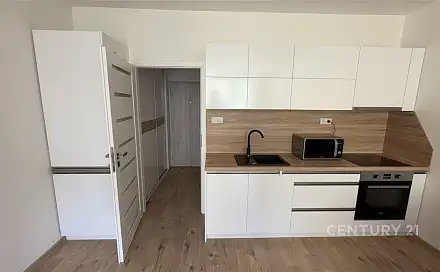 Pronájem bytu 1+kk 33 m²