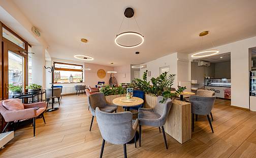 Pronájem obchodních prostor 152 m², Luhačovice, okres Zlín