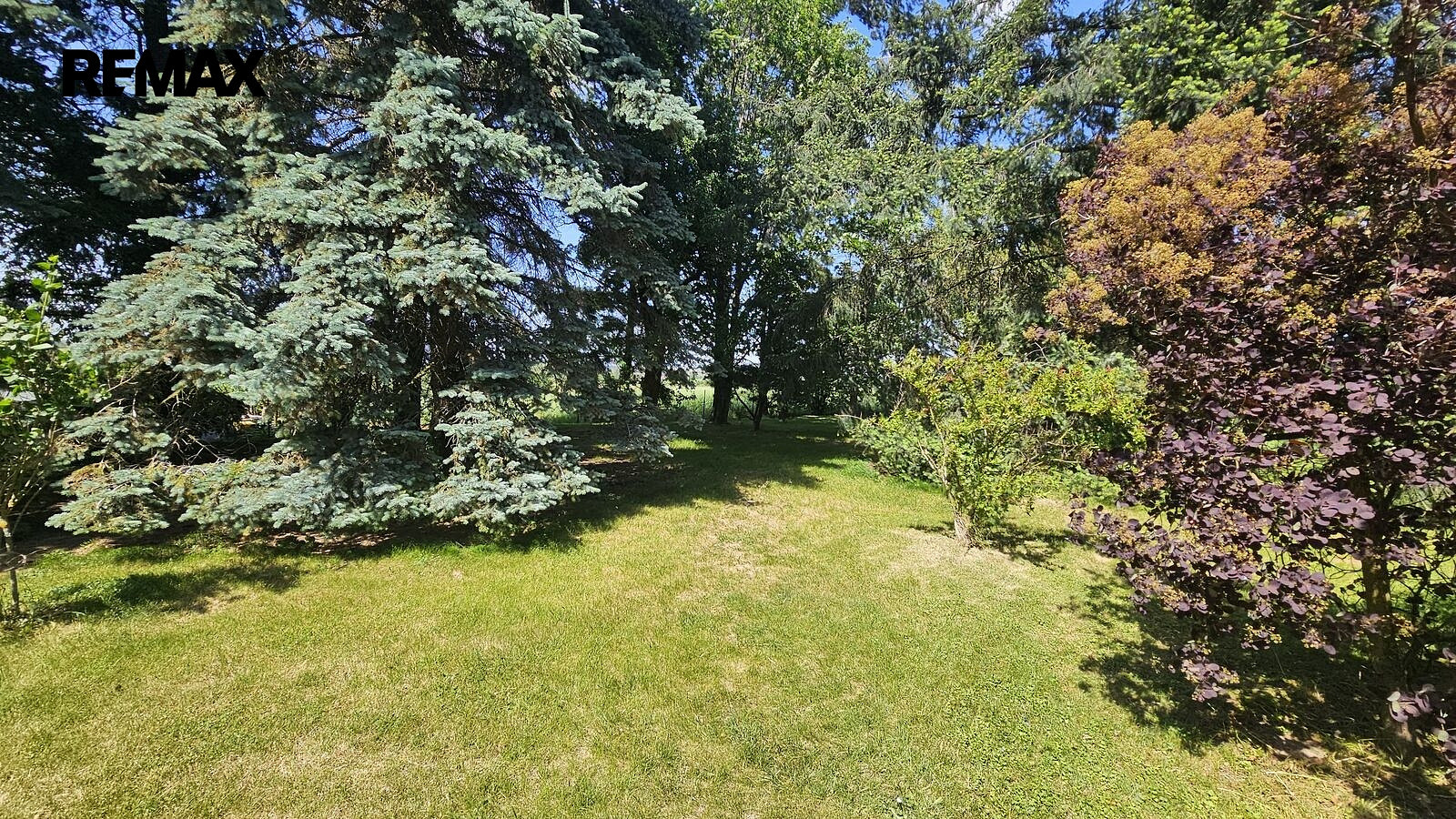 Prodej stavebního pozemku 1 391 m² – fotografie 4