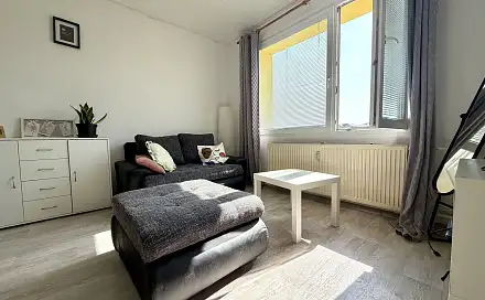 Pronájem bytu 1+1 38 m², Želivského, Tachov