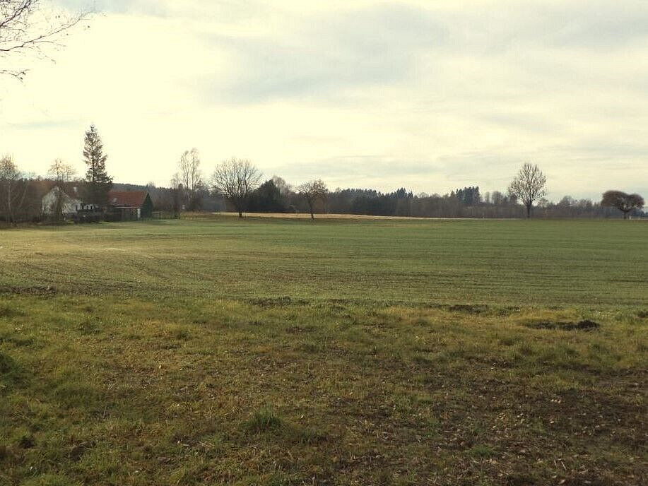 Prodej pole 9 169 m² – fotografie 2