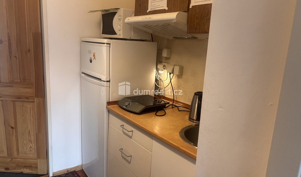 Pronájem bytu 5+kk 12 m², Praha – náhled fotky 13
