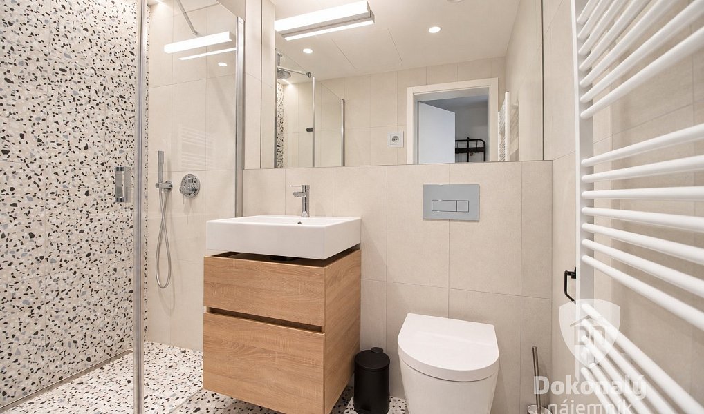 Pronájem bytu 1+kk 36 m², Praha – náhled fotky 10