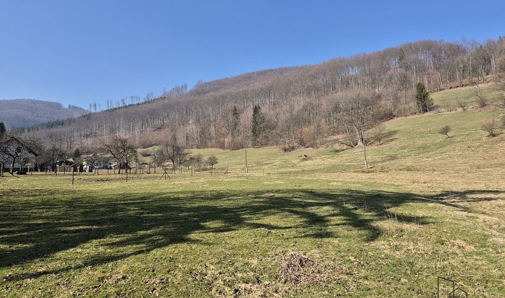Prodej stavebního pozemku 2 189 m², Košařiska – náhled fotky 6