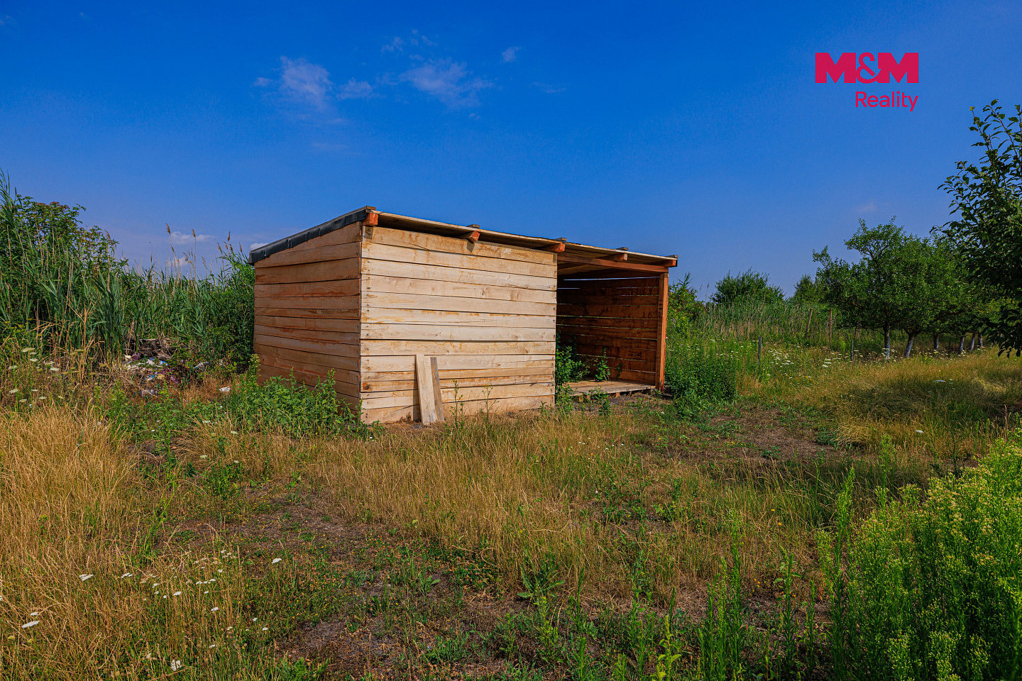 Prodej pole 53 078 m² — photo 4